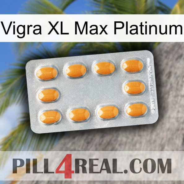 Vigra Xl Max Platinum cialis3.jpg